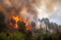 Algeria moves to restore death penalty for arsonists
