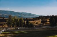 Understanding the Kings' Appeal Against Washington's Ecology Department