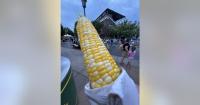 Minnesota State Fair inflation slows to 3%, St. Thomas 'On a Stick' report finds