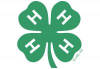4-H Food Plot Project teaches wildlife, plant science