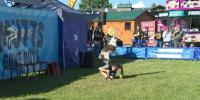 From military salutes to mutts and stunts, Champlain Valley Fair keeps the fun rolling