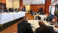 Cameroon Eyes Easier Exploration Permits to Draw Mining Investment