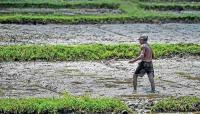 Climate has changed: Has our agriculture?