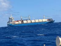Ports Authority rescue mission