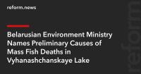 Belarusian Environment Ministry Names Preliminary Causes of Mass Fish Deaths in Vyhanashchanskaye Lake