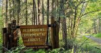 Research projects in the Pacific Northwest’s experimental forests face funding uncertainty