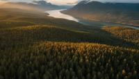 Norway Near-Zero Deforestation: How the First Country Achieved It