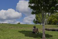 Heat kills 125 people in Tennessee each year, analysis finds