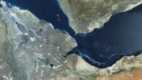 Yemeni Forces Ramp Up Interceptions of Houthi Boats in Red Sea