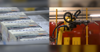 Businesses proactive, resilient during trade uncertainty