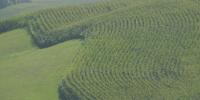 Northwest Iowa businesses come together to support farmers ahead of harvest