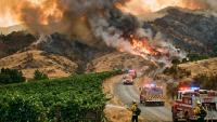 The California Pickett Fire Destroyed $56 Million in Napa Wine Grapes — a Year Later Someone Has Been Charged and the Lawsuits Are Piling Up