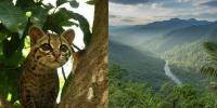 El Imposible National Park Named Among the World’s Seven Wonders to Visit in 2026