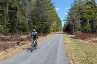 Poetry: As easy as falling off a bike
