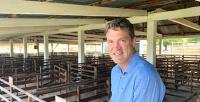Trade restrictions reshaping global beef flows