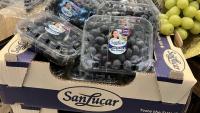 SanLucar, Market Leader of Premium Fruits, Brings Global Excellence to China