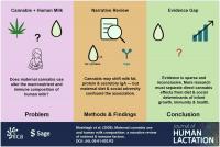 Breastmilk from cannabis users showed differences, but cannabis may not be the whole story
