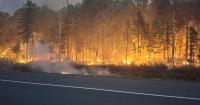 New Brunswick government releases multi-year wildfire management plan