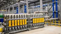 Nile Delta Algae Bloom Shuts Down Israel’s Desalination Plants 