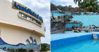 This is how the National Aquarium of Cuba looks today: "deeply sad, nothing like what it used to be."