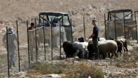 ’Israeli’ Settlers Attack NBC News Crew in West Bank