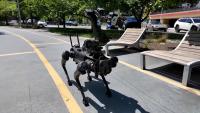ICE Plans to Spend $2 Million to Purchase “Robot Dogs”