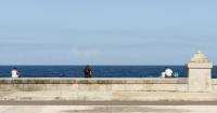 Thief jumps into the sea after stealing a child's phone on the Malecón in Havana
