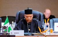 Xenophobia: We Won’t Tolerate Situations Where Nigerians Are Dehumanise