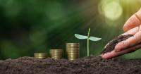 India’s next big agriculture challenge: Raising incomes and strengthening smallholder resilience