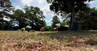 Raleigh cemetery buries someone else in family plot. Records reveal history of consumer complaints