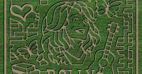 New Wilmington farm's corn maze honors Dolly Parton