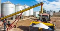 The $7.5m lesson for farmers: global grain trader enters receivership