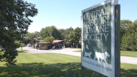 Central Missouri Humane Society takes custody of dozens of barnyard animals