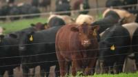 Local farm leaders speak on two rounds of changes that could impact your grocery bill
