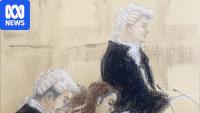 Lawyer tells court triple murder survivor could be the killer
