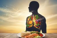 Study: Higher Diet Quality Scores Linked to Better Lung Function in Dutch Adults