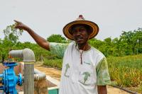 Can pineapples thrive in Africa’s Sahel? A Burkina Faso farmer says the answer is yes