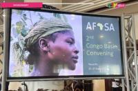 Congo Basin Countries Adopt Regional Strategy to Raise Food Output, Protect Forests