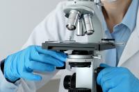 Scotland has the science but it needs to join the dots