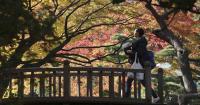 Autumn, Finally: A Season to Calm Our Politics