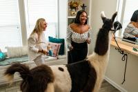 Houston Realtor Noel Collier brings unconventional homebuyers to HGTV