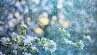 Will Next Winter Be Harsh?