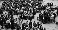 The bureaucracy loves synodality