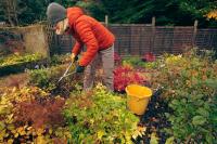Autumn gardening tips to protect your peace as the pace of life picks up