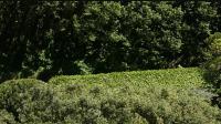 Summer gardening rule lifted for households in England after six months