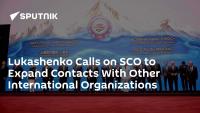 Lukashenko Calls on SCO to Expand Contacts With Other International Organizations