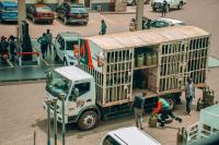 Cameroon issues major tender for 60,000 tonnes of lpg
