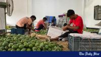 What's keeping Bangladesh from becoming an agricultural export hub