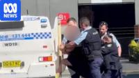 Man in custody, weapons seized after dramatic airport arrest