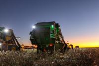 Brazil sets cotton export record